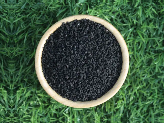 Black cumin seeds (kalonji, Nigella sativa) 99% sortex from India
