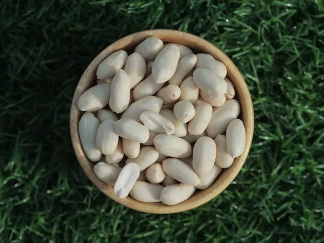 Whole blanched peanut kernels 40/50 from Gujarat, India