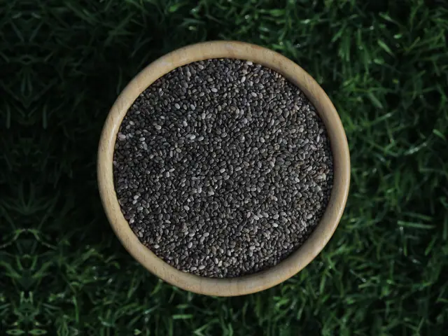 Indian black chia seeds 99.9% sortex for export