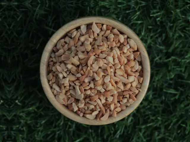 Roasted blanched diced peanuts 2–4 mm from Gujarat, India