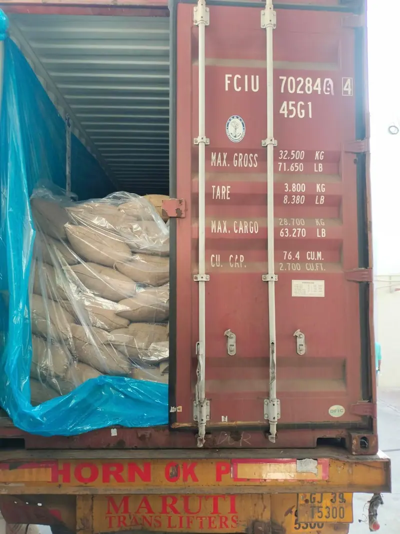 Bagged cargo in a blue liner inside a 40 ft high-cube container