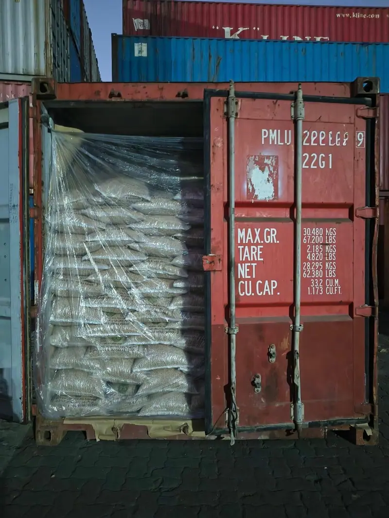 Bagged cargo in a lined 20 ft container at the container yard
