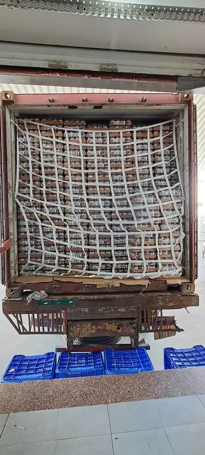 Cargo net securing white bags at the container door