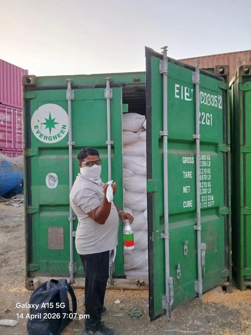 Container inspection before sealing