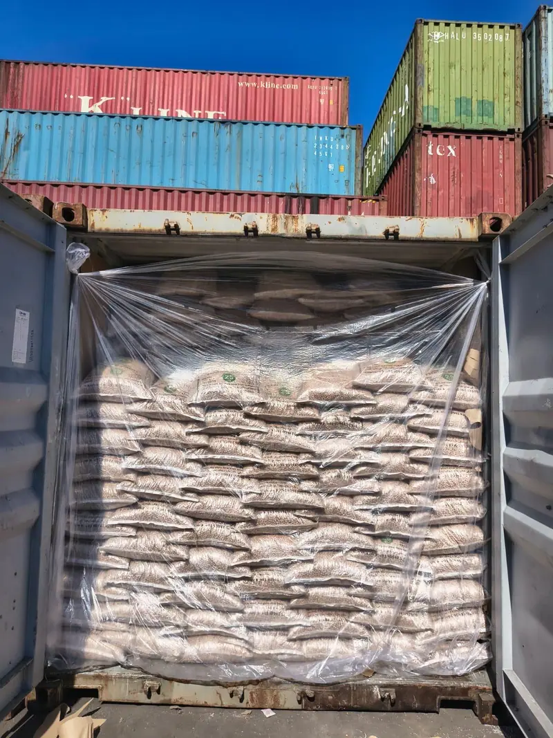 Container of bagged cargo behind a plastic liner at the yard