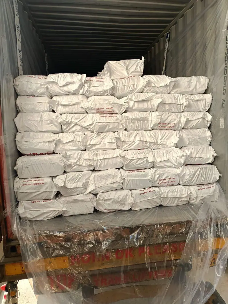 Export container fully loaded with white PP bags behind a plastic liner
