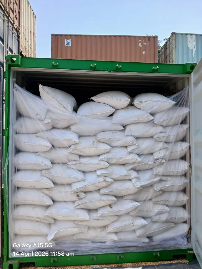 Green 20 ft container fully loaded with white bags
