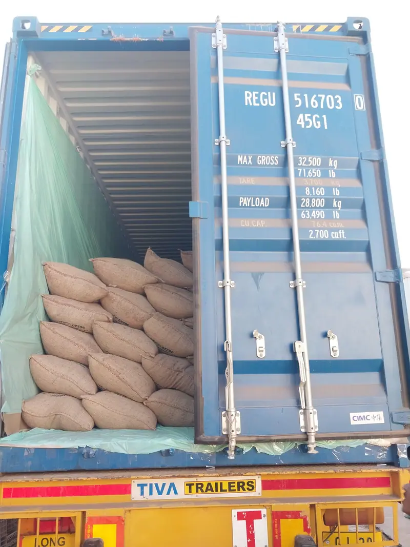 Jute bags being loaded into a lined 40 ft high-cube export container