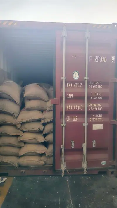 Jute bags in a container ready for sealing