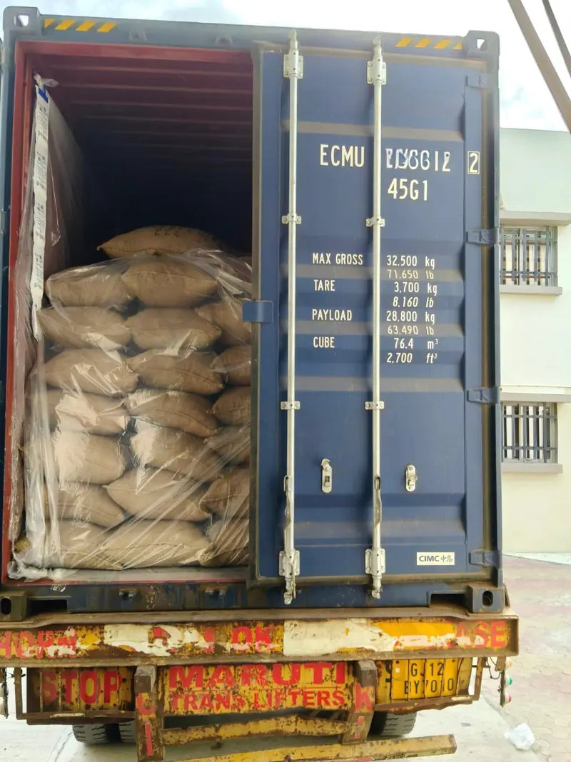 Jute bags in a lined 40 ft high-cube container at the dock