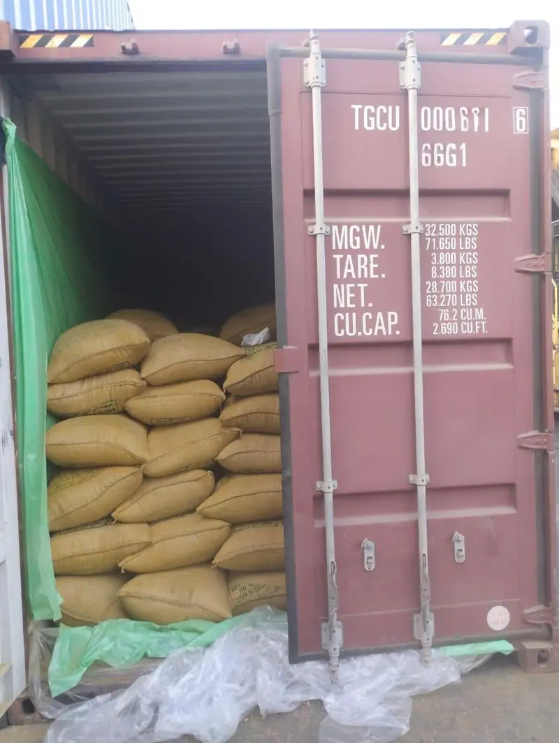 Jute bags inside a green container liner