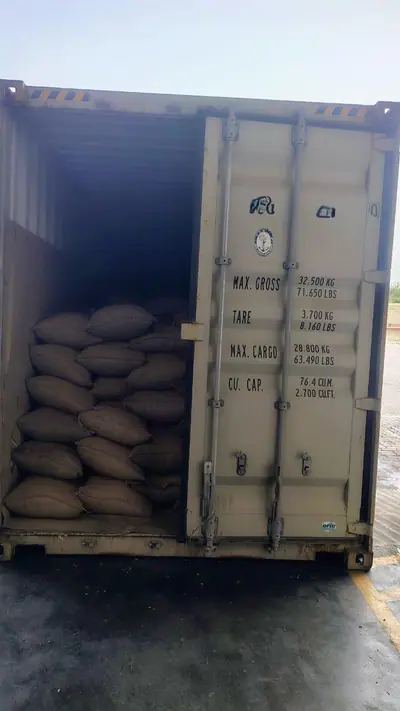 Jute bags loaded in a container, doors half closed