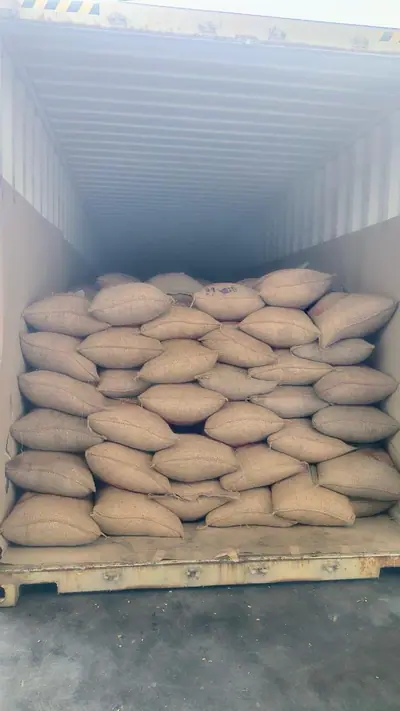 Jute bags stacked across the full width of a container