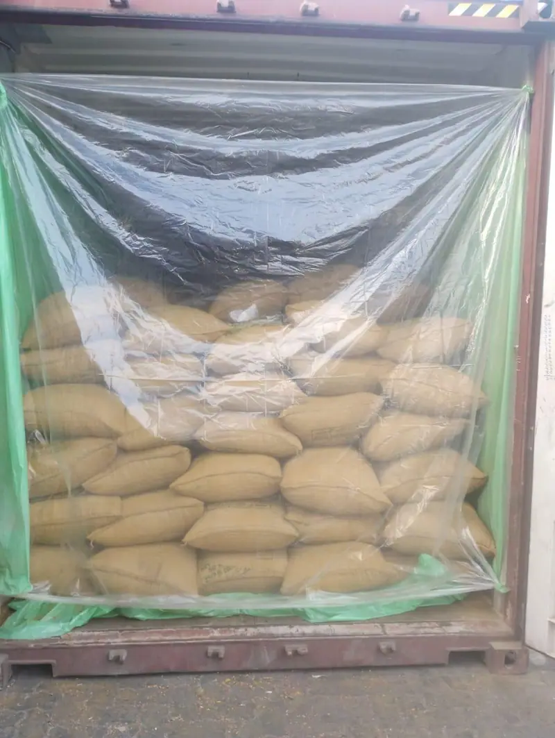 Jute bags stacked in a green liner inside a container