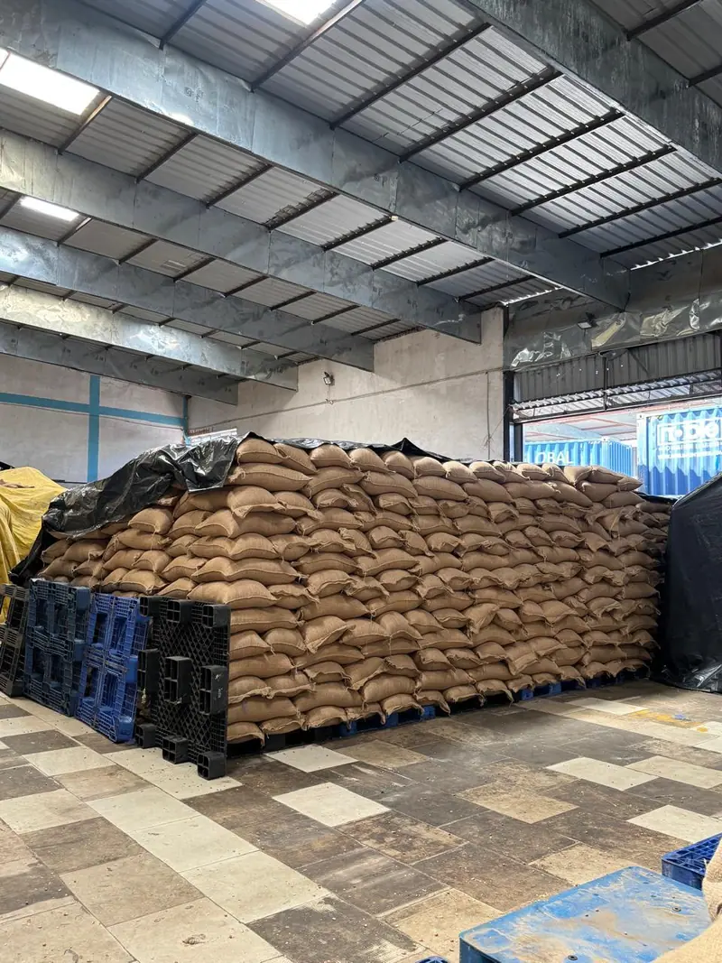 Jute bags stacked on pallets in the warehouse