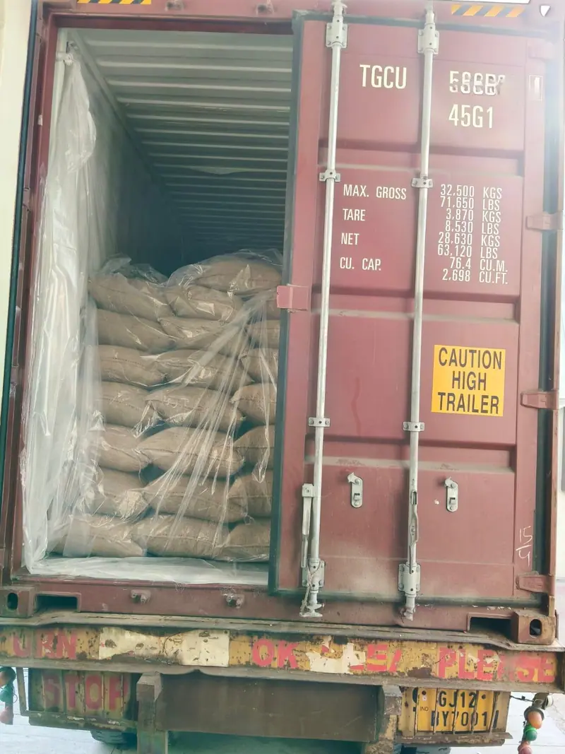 Jute bags wrapped in a plastic liner inside a 40 ft high-cube container