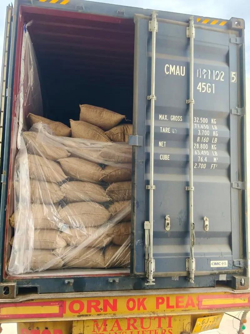 Kraft bags in a lined CMA CGM 40 ft high-cube container
