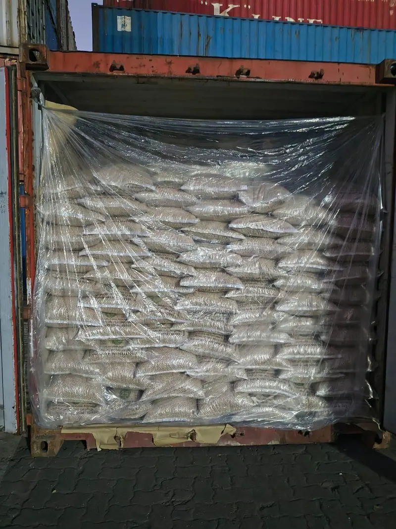 Lined 20 ft container of bagged cargo at the container yard