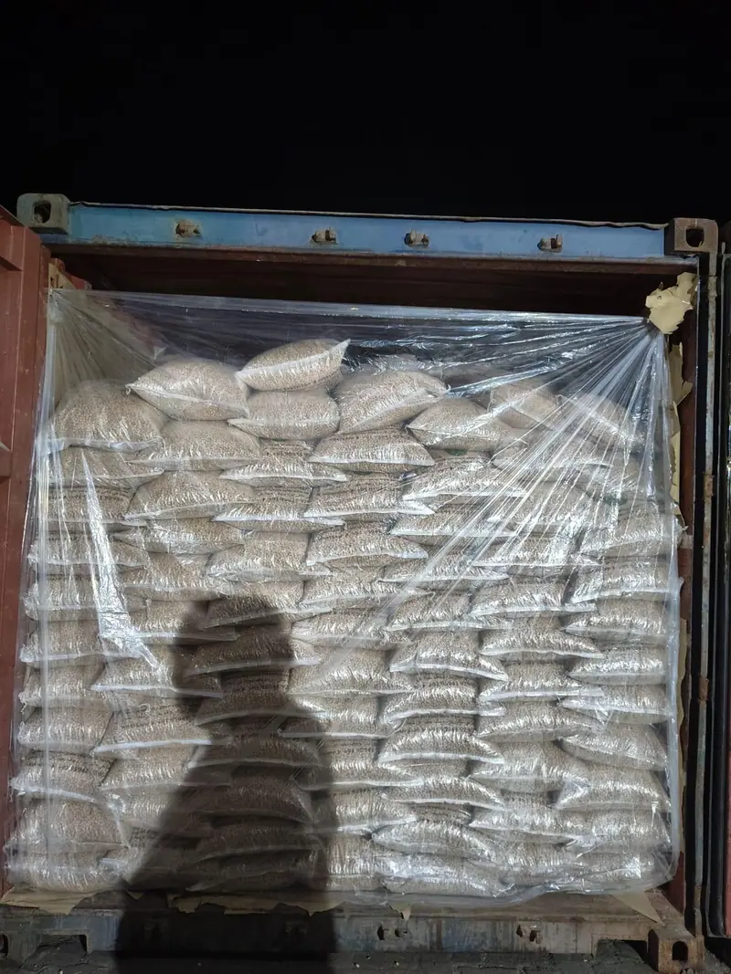 Lined container of bags loaded at night
