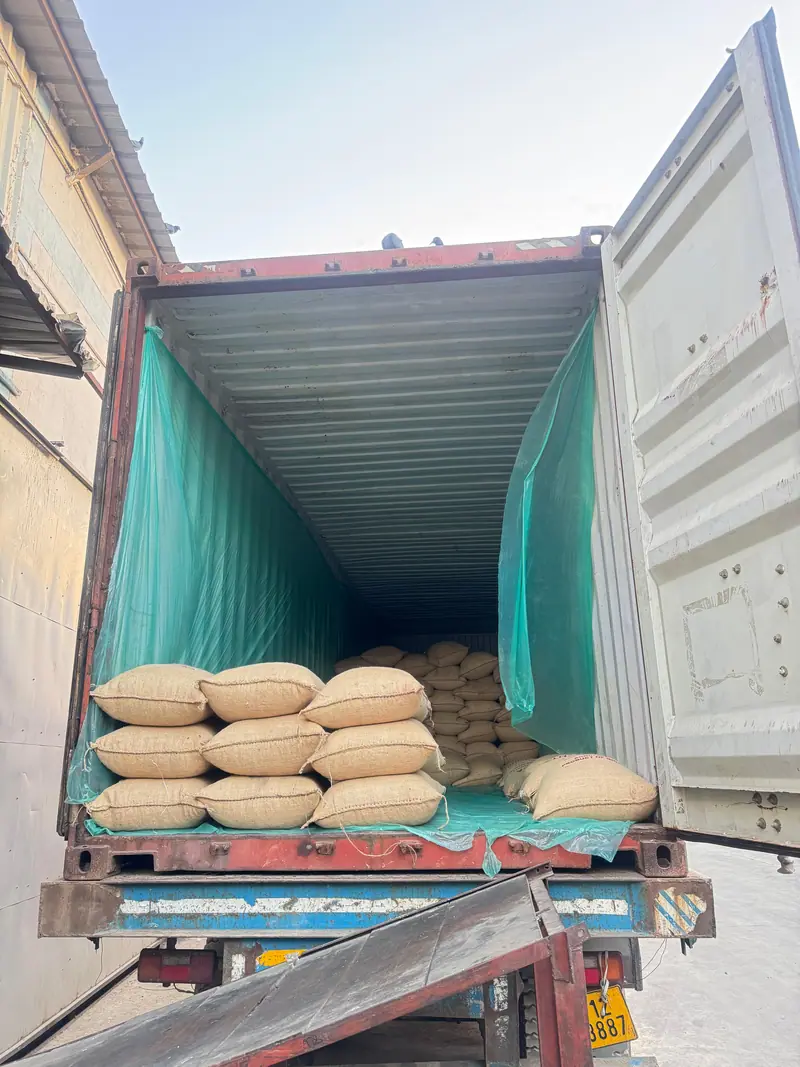 Loading bags into a lined container from the warehouse dock