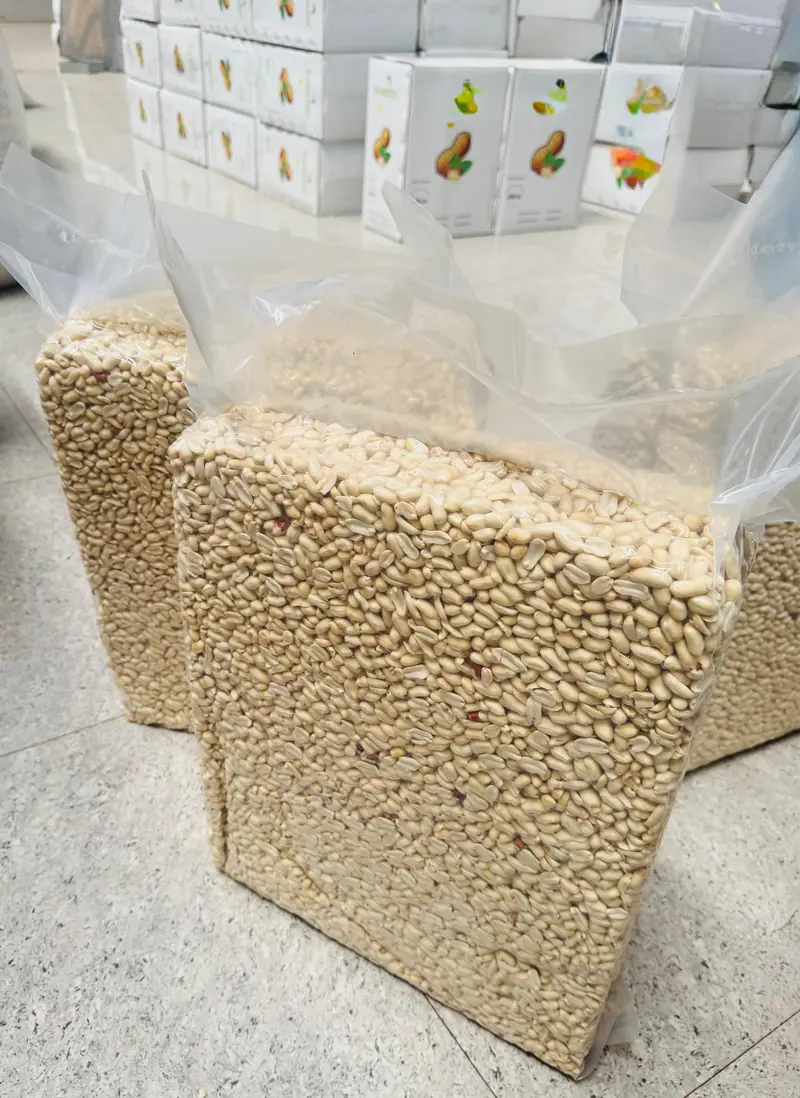 Vacuum-packed blanched peanuts ready for export