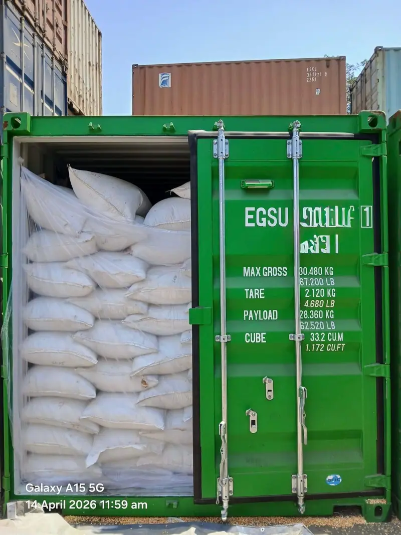White bags in a green 20 ft container