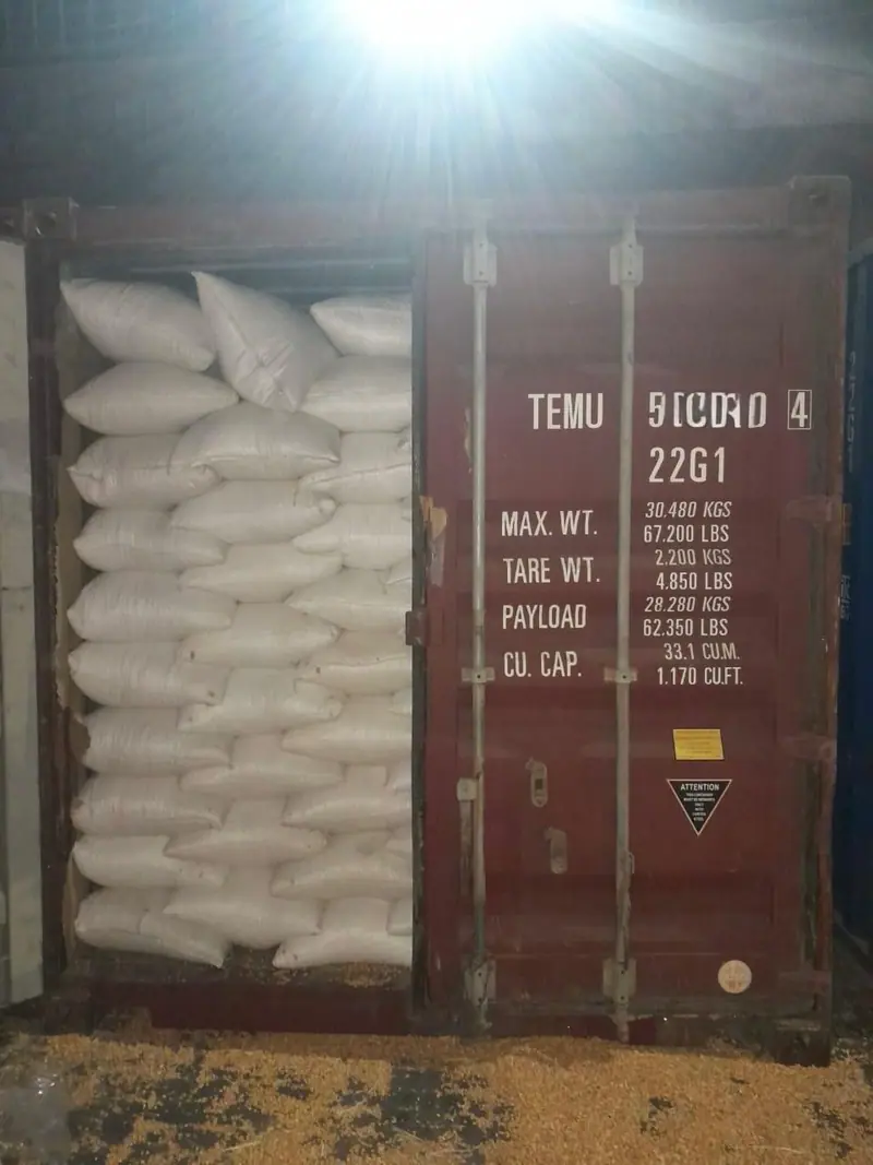 White PP bags in a 20 ft container ready to close