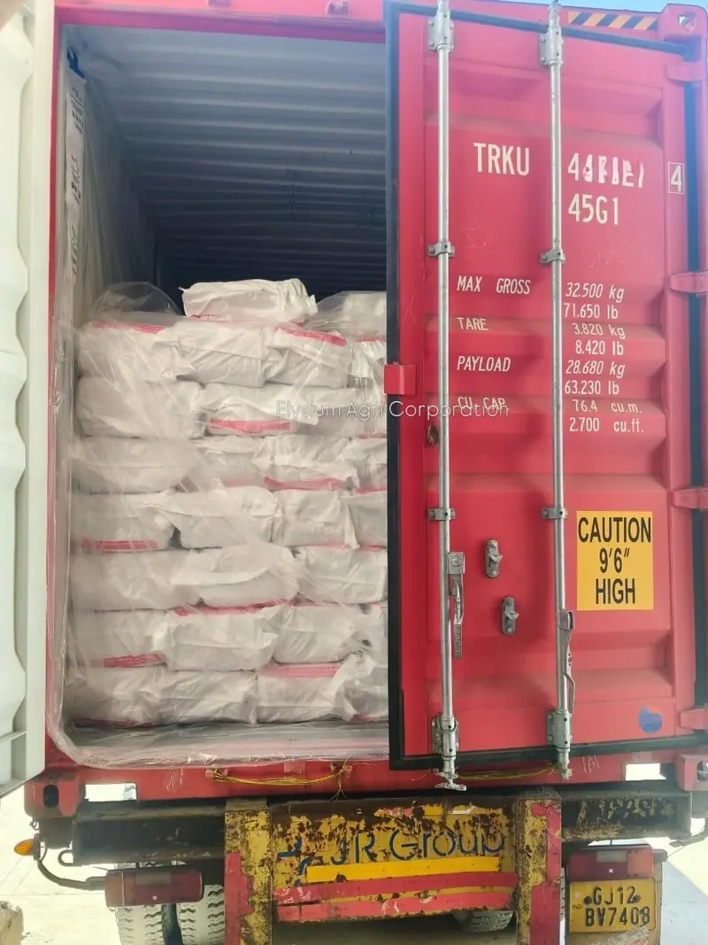 White PP bags stacked in a 40 ft high-cube container