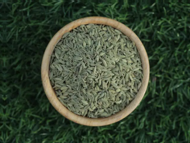Singapore quality green fennel seeds (saunf) from Unjha, Gujarat