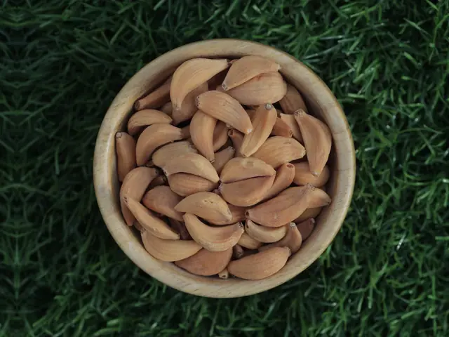 Dehydrated white garlic flakes without root for export