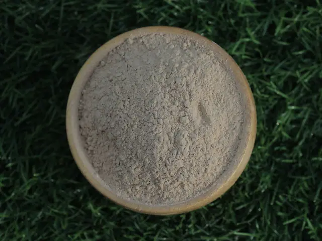 Dehydrated garlic powder 80–100 mesh for export