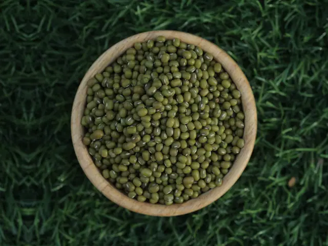 Sortex green moong (mung beans) for export from India