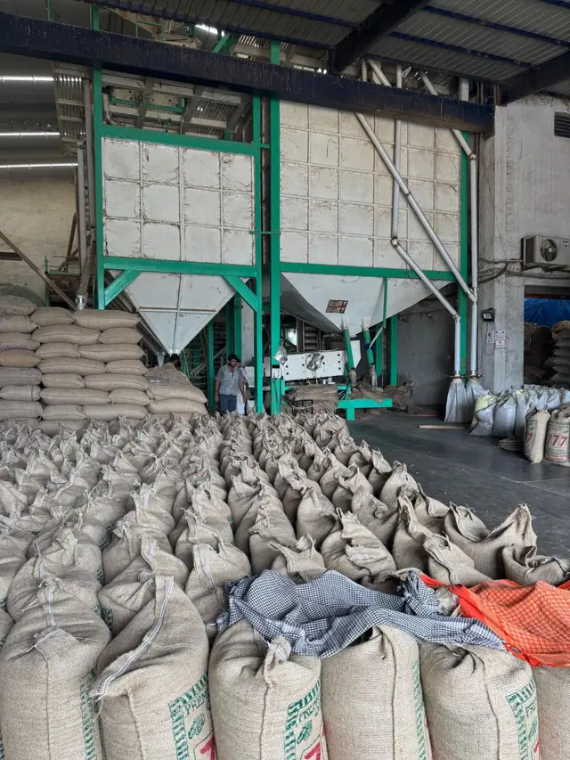 Filled jute sacks stacked in front of the cleaning and grading plant