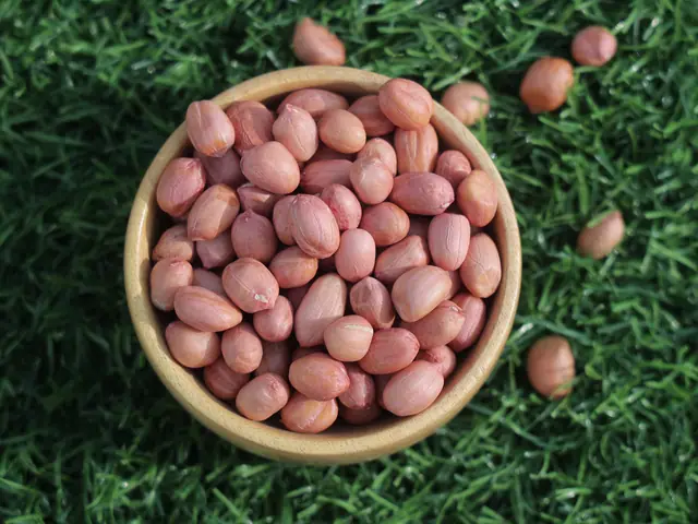 Java peanut kernels 80/90 count from Gujarat, India