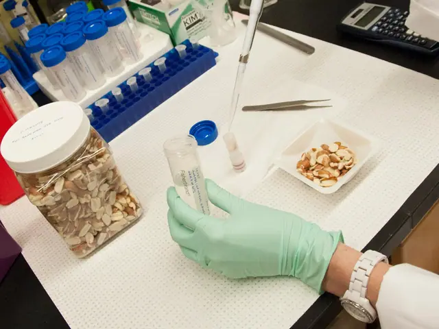 Lab analyst preparing a groundnut kernel sample for analysis