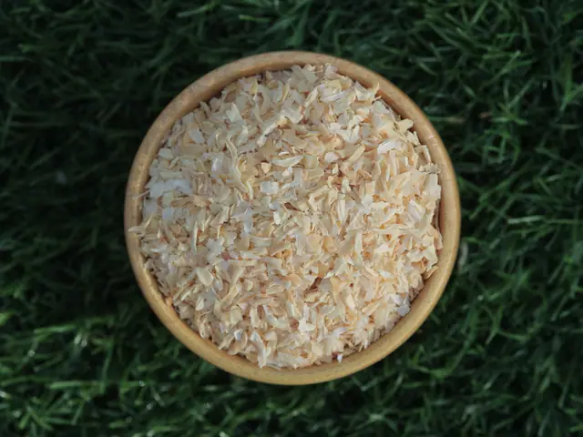 Dehydrated white onion chopped 3–5 mm for export