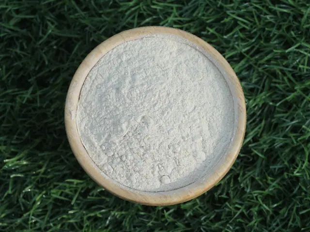 Dehydrated white onion powder 80–100 mesh for export