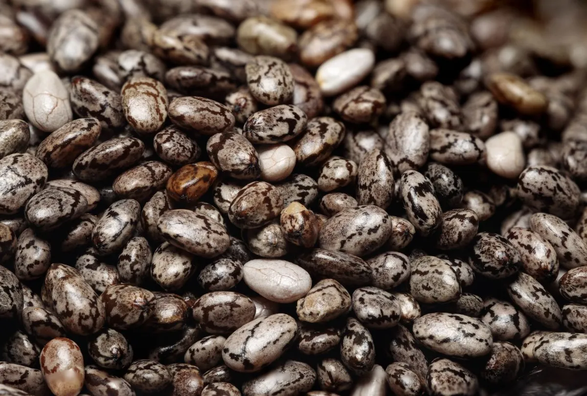 Close-up of black chia seeds showing their mottled pattern