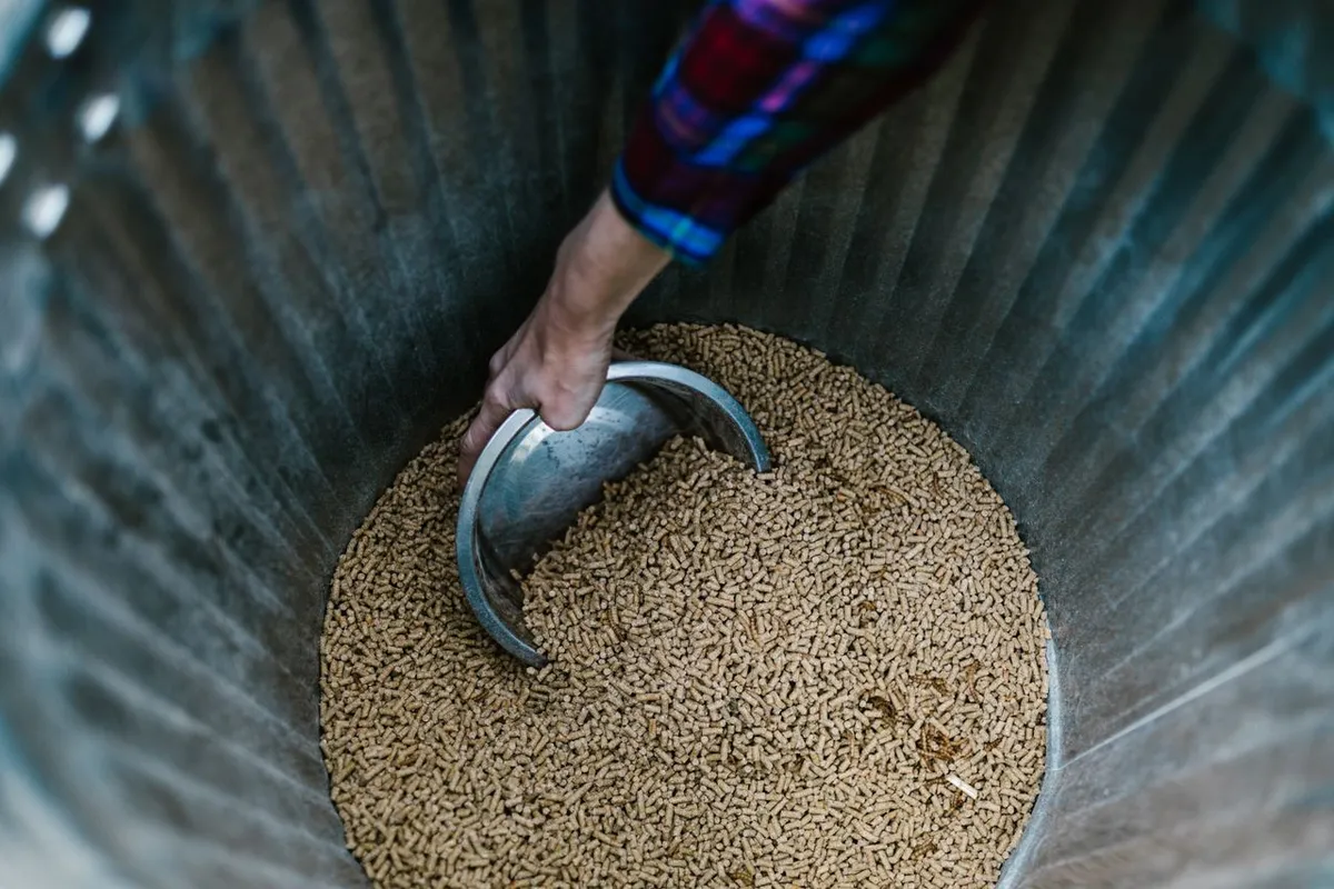 Animal feed pellets made from feed ingredients