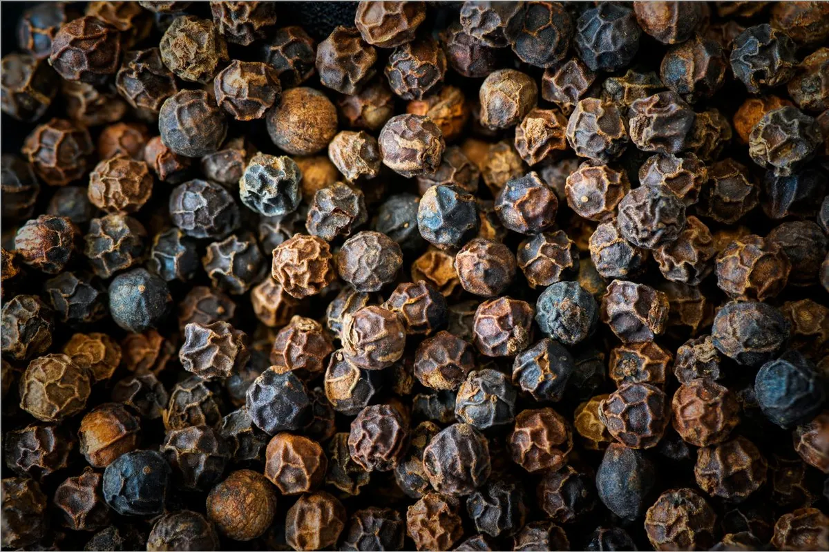 Black pepper, a scheduled spice under the Spices Board of India