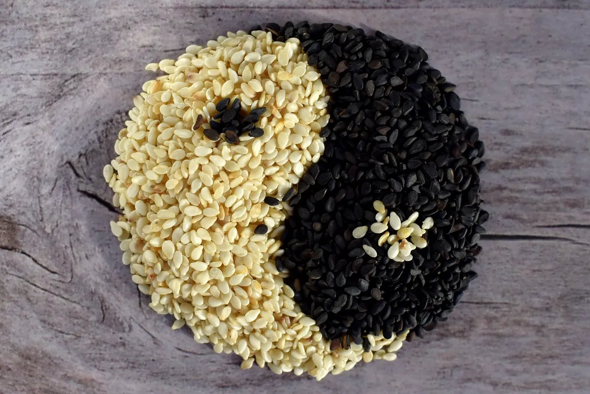 Black and white sesame seeds compared side by side