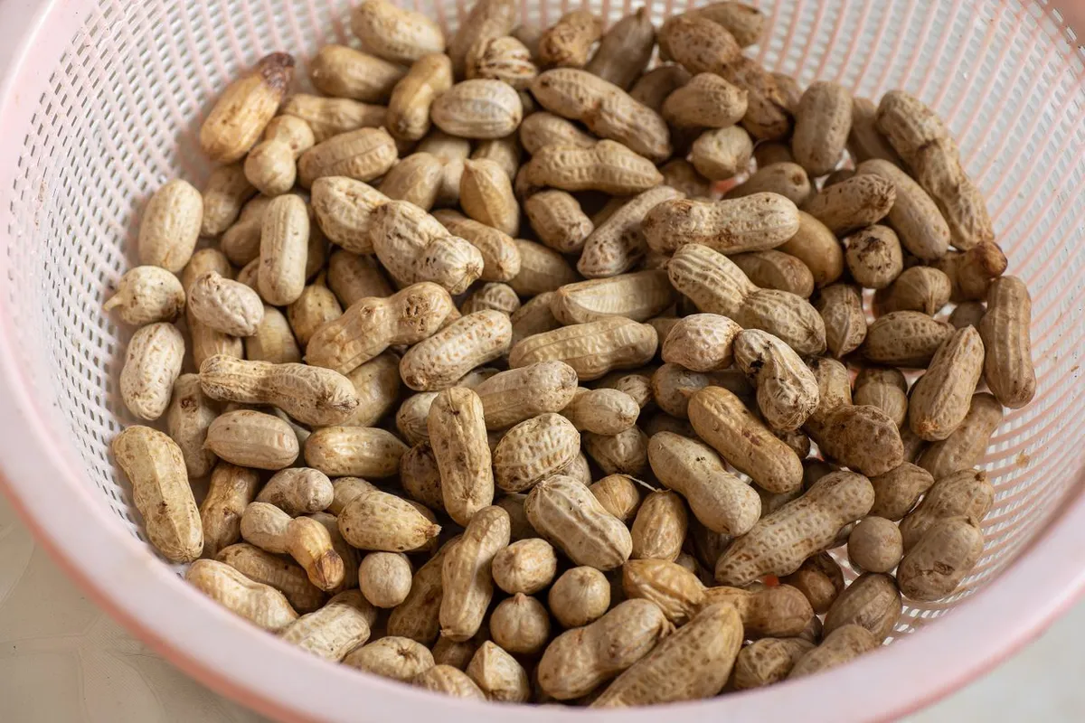 Boiled Groundnut: Nutrition, Benefits and How to Boil