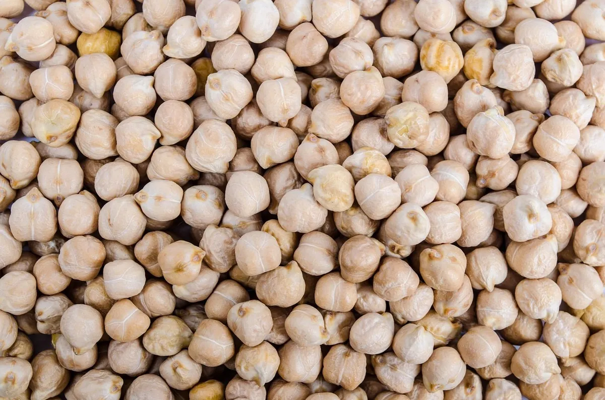 Raw dried kabuli chickpeas, high in chickpea protein