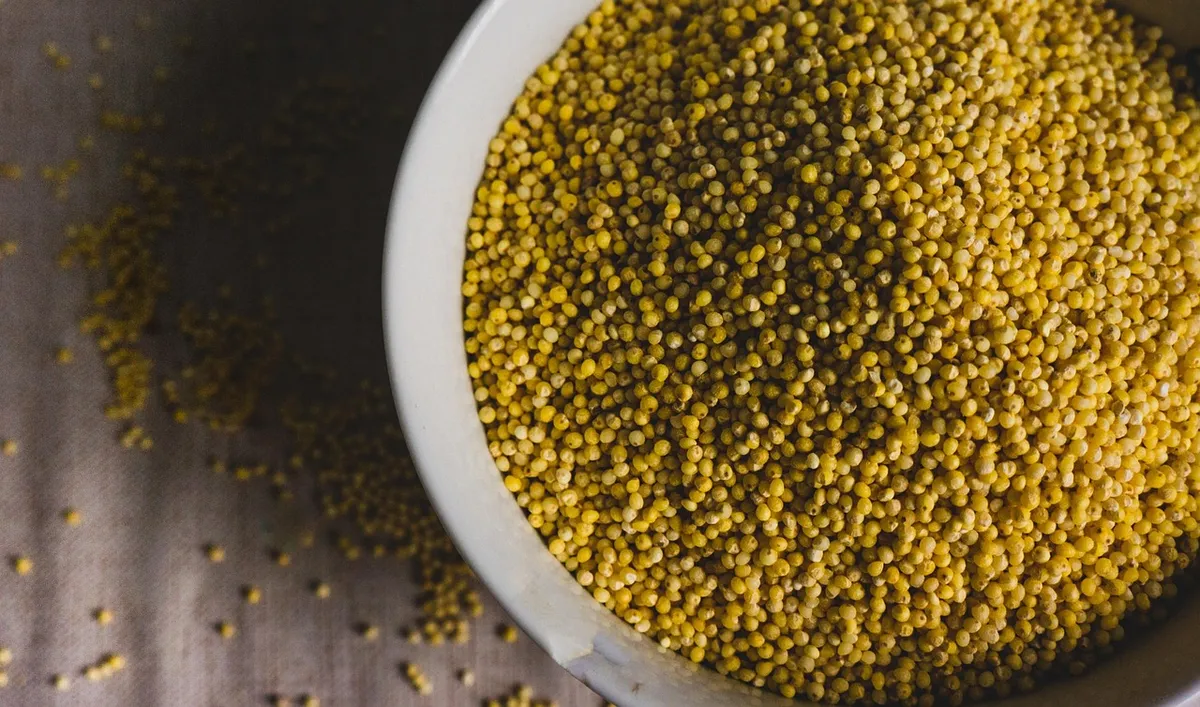 Cleaned millet grain in a bowl, ready for export packing