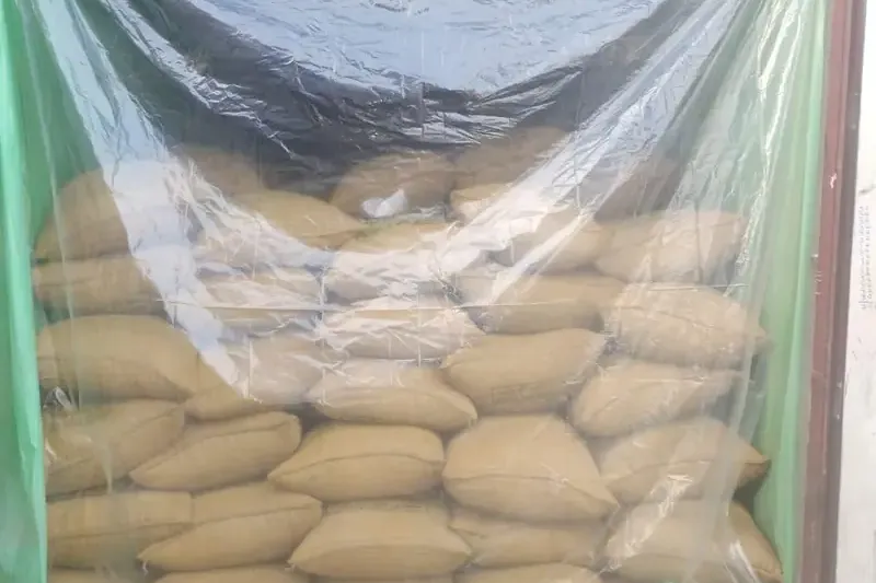Container liner bag fitted around bagged cargo inside an export container