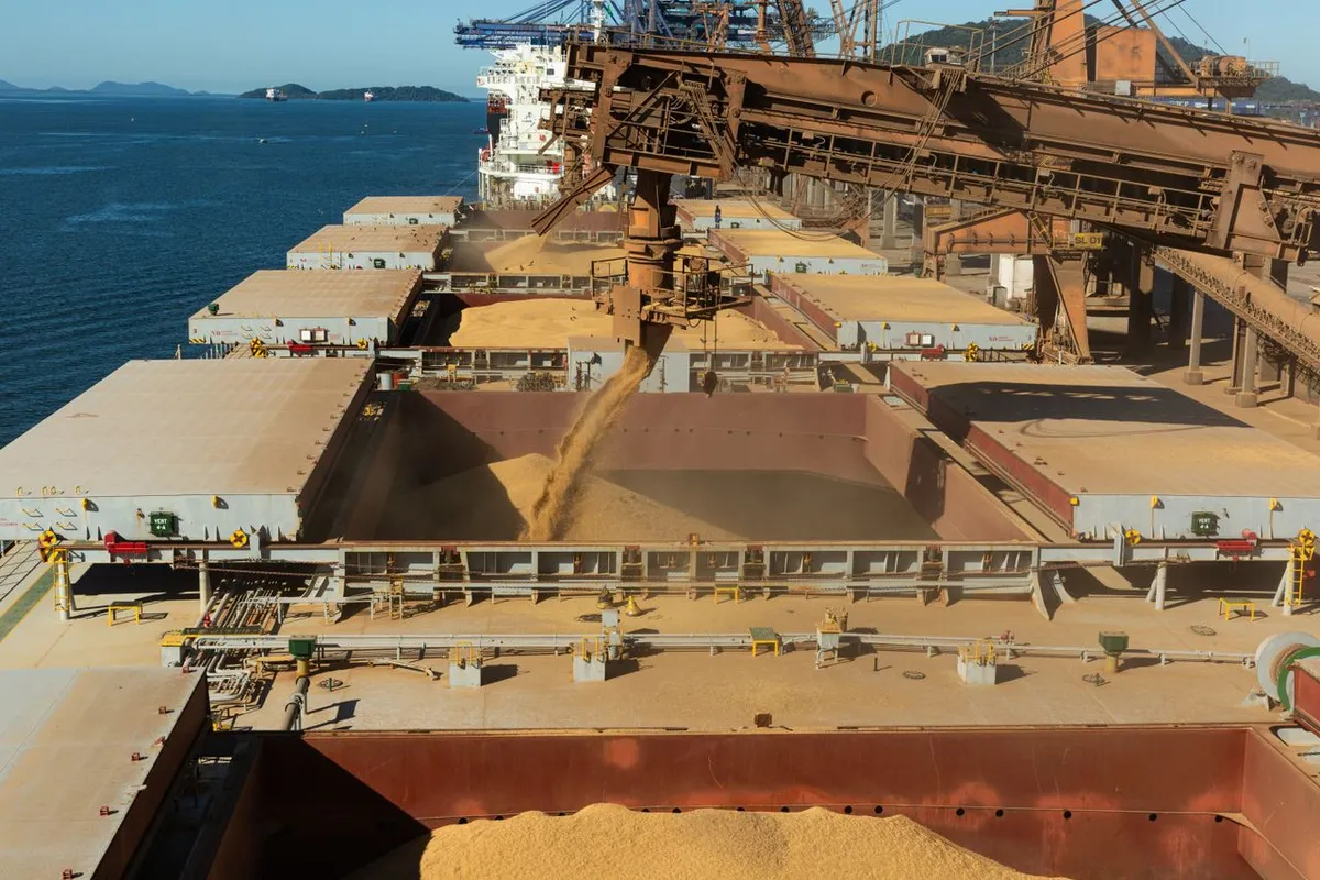 Grain being loaded in bulk into the hold of a bulk carrier, an alternative to container liner bag shipping
