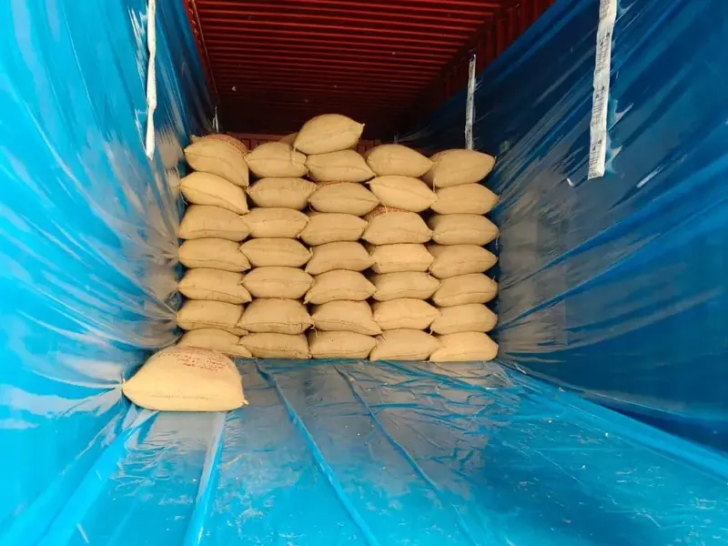 Container liner bag fitted inside a shipping container as loading begins