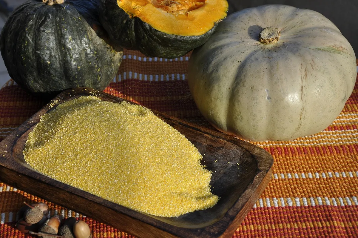 Coarse yellow corn grits and maize meal on a wooden tray
