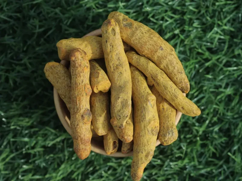 High curcumin turmeric fingers from India