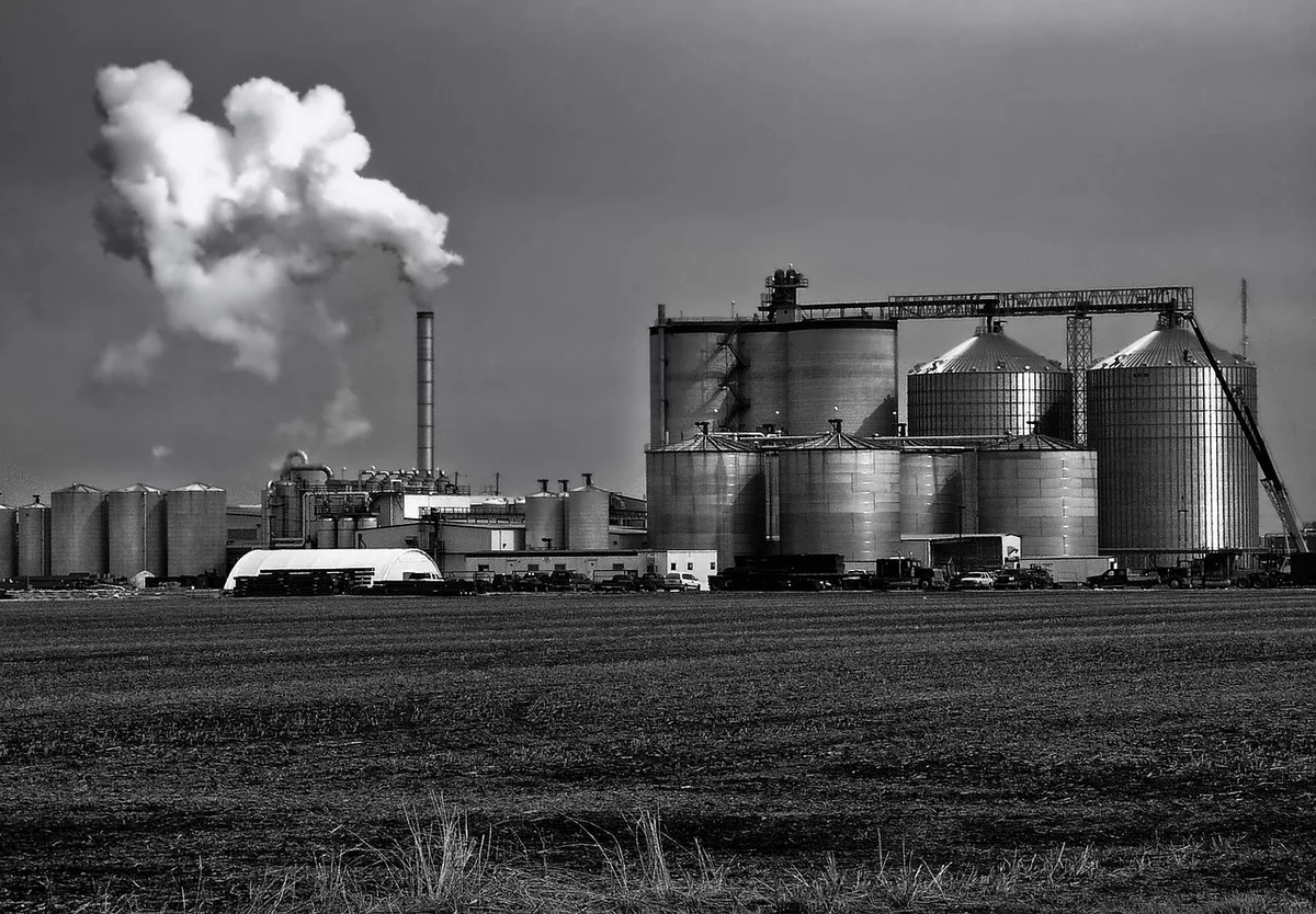 Grain ethanol plant that produces DDGS feed